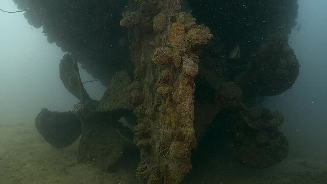 A view of the rear of a shipwreck, with its propeller covered in rust and marine encrustations, showcasing the passage of time and marine colonization. Check my portfolio for more shipwreck footage.