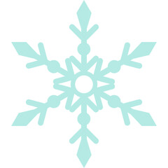 Snow Flake
