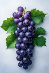 Fototapeta premium Fresh Bunch of Purple Grapes with Green Leaves on a Light Background - High-Quality Stock Photo