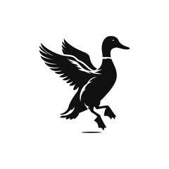 Fototapeta premium duck isolated on white background