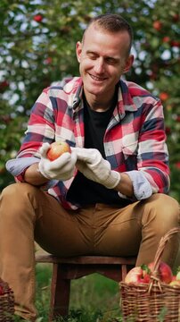Happy mid-aged Caucasian farmer sitting on a tabouret in the garden. Smiling man looks at red apples he picked into the baskets. Vertical video