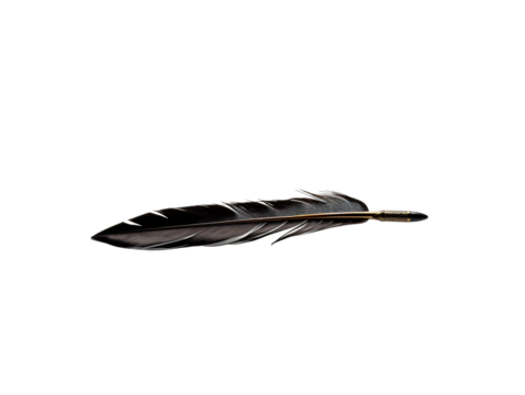 a black feather with gold accents