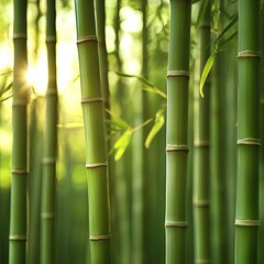 Obraz premium Serene bamboo grove with tall, straight stalks growing in tight clusters, creating a peaceful natural environment. AE