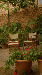 Fototapeta premium Two empty wooden chairs in a quaint, outdoor garden with lush green plants, terracotta pots, stone wall, and a serene atmosphere on a sunny day.