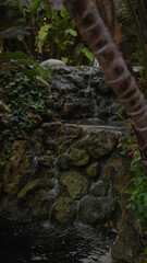 Tropical waterfall with lush foliage and serene pond capturing nature's tranquility.