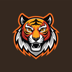 cartoon vector design 