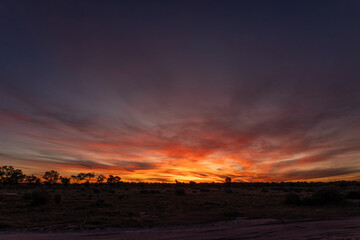 A fiery orange sunset lights up the sky and clouds with silhouettes of trees standing out on the horison  in the outback countryside at the town of Wilcannia in New South Wales in Australia.