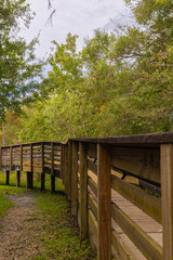 The wooded walking bridge transverses the vibrant colorful autumn and summer foliage at the New Tampa Nature Park