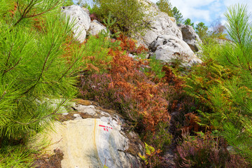 J.A Martin and Cailleau rock in Fontainebleau massif