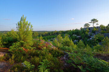 .A Martin and Cailleau rock sunrise in Fontainebleau forest