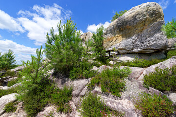 J.A Martin and Cailleau rock in Fontainebleau massif