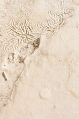 Surface is painted with white oil paint. Close-up. Texture. Abstract background. Shallow depth of field (DOF)