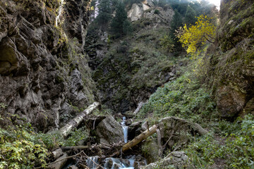 landscape in the mountains