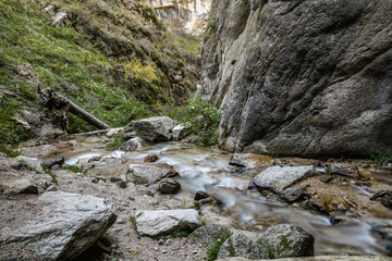 stream in the forest