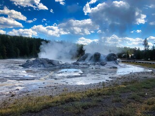 Grotto Geyser in the Upper Geyser Basin in Yellowstone National Park Wyoming.