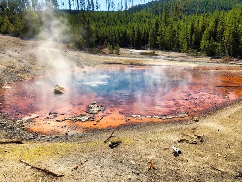 Steamy Hot Echinus Geyser in Norris Geyser Basin in Yellowstone National Park Wyoming.