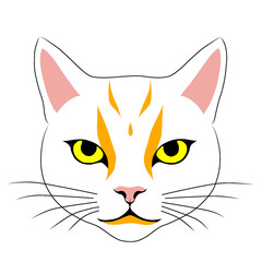 orange cat with yellow eye vector illustration