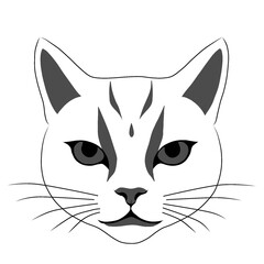 grey cat with grey eye cat vector illustration