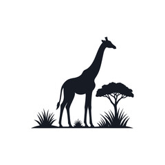 Fototapeta premium giraffe on white background vector illustration