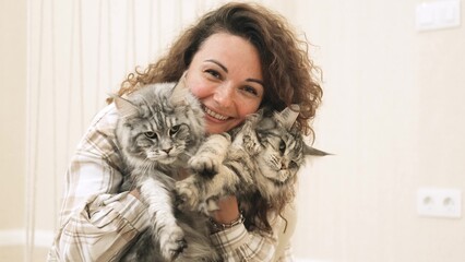 Beautiful woman with curly hair holds two big gray cats in her hands. Two fluffy Maine Coons in the hands of a woman.
