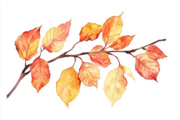 Fototapeta premium Watercolor artwork depicting a twig with fall leaves