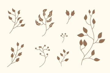 Illustration Vector Set Leaf Floral Aesthetic Shilhouette Brown Cream Color