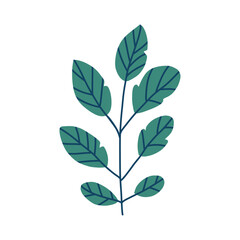 Simple vector illustration of green tropical leaves, ideal for eco-themed designs, nature-inspired graphics, or botanical wellness concepts.