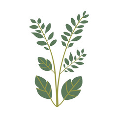 Simple green plant leaves illustration, perfect for natural, eco-friendly designs. Ideal for herbal, organic, or botanical themes.