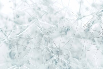 Obraz premium Delicate web of interconnected lines and shapes against a soft, ethereal white backdrop in a serene, abstract composition. Generative AI
