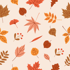 Obraz premium Pattern with different autumn leaves on a light background.
