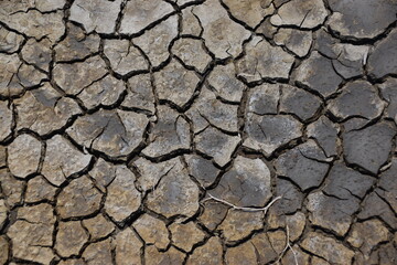 dry cracked soil