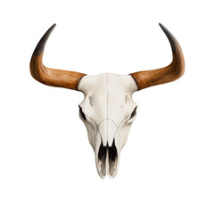 Bull skull with horns on transparent background.