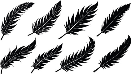 Obraz premium feather vector silhouette images art illustration