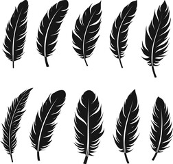 Obraz premium feather vector silhouette images art illustration