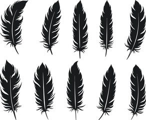 Obraz premium feather vector silhouette images art illustration