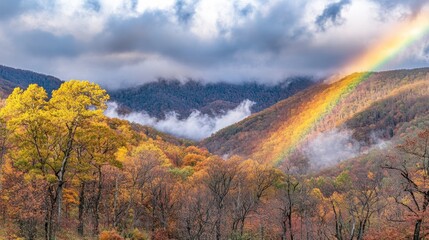A scenic view of autumn trees and a rainbow over misty mountains.