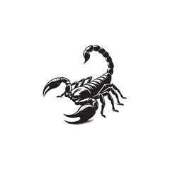 Scorpion Silhouette Isolated on White - Vector Template for Mascot & Branding. scorpion silhouette vector illustration. Vector illustration.