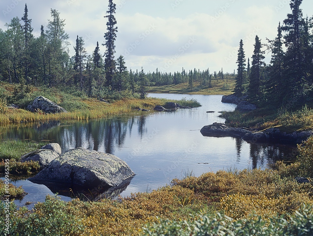 Canvas Prints Serene Forest Lake Landscape Photography