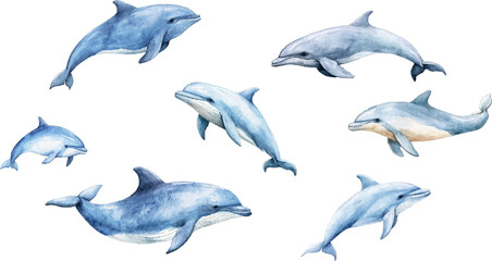Watercolor vector illustration of cute blue whales and dolphins on a white background