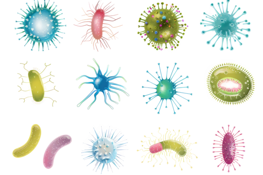 set of microbe and virus icons with a focus on common bacteria like E. coli and Staphylococcus aureus.