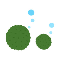 マリモ。フラットなベクターイラスト。
Marimo (Cladophora ball, moss ball, moss ball pet, lake ball). Flat vector illustration.