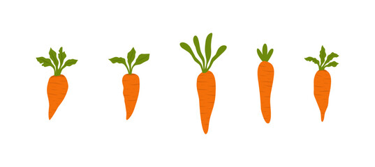 Fresh Organic Carrot Illustrations for Healthy Living, Nutrition, and World Food Day – Perfect for Wellness, Vegan, and Farm-to-Table Projects