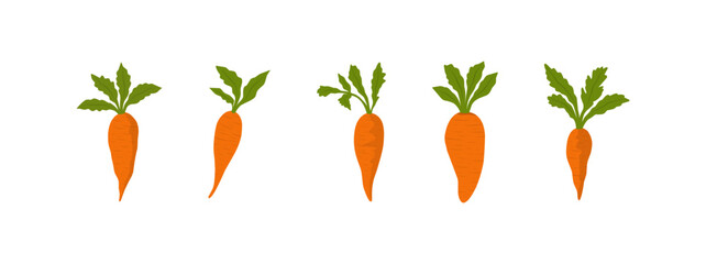 Fresh Organic Carrot Illustrations for Healthy Living, Nutrition, and World Food Day – Perfect for Wellness, Vegan, and Farm-to-Table Projects