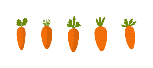 Fresh Organic Carrot Illustrations for Healthy Living, Nutrition, and World Food Day – Perfect for Wellness, Vegan, and Farm-to-Table Projects