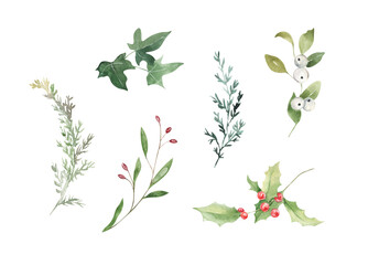 Watercolor winter greenery, branches, berries clipart. Mistletoe, holly, ivy, hand drawn illustration.