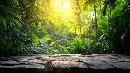 Lush green jungle with sunlight filtering in.