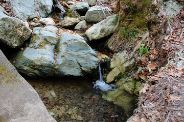 The path of the centaurs (after Cyclone Daniel) Portaria Pelion Greece