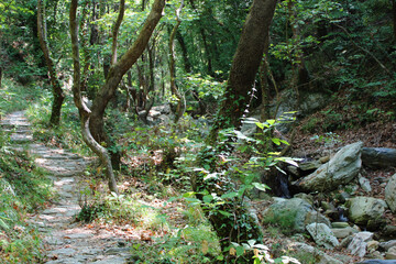 The path of the centaurs (after Cyclone Daniel) Portaria Pelion Greece