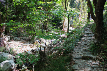 The path of the centaurs (after Cyclone Daniel) Portaria Pelion Greece