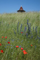 Blick auf den Stechberg bei Lauchröden 